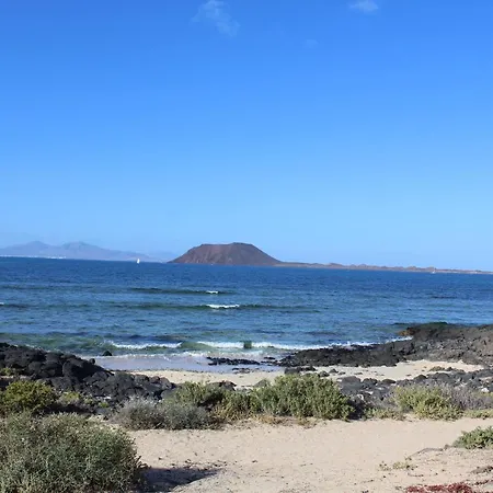 Eesha By Privilege Bay * La Oliva